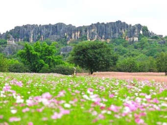 2.7亿年的石林里，藏着秋日双重浪漫