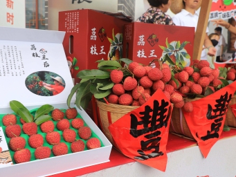 中外网红寻味而来，共同为广州荔枝代言