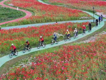 江苏灌云：推出特色消费新业态