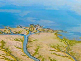 江西都昌：鄱阳湖现“大地之树”景观